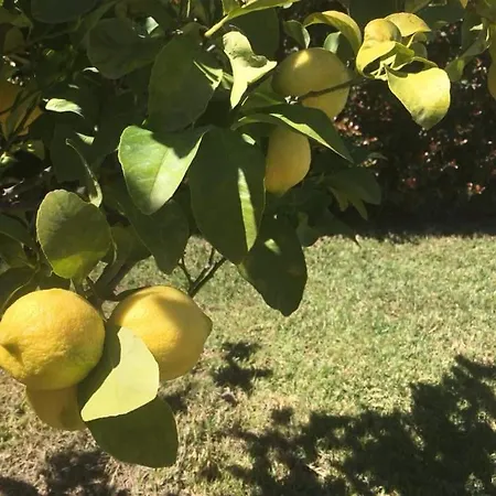 Tenuta Edone' Graniti
