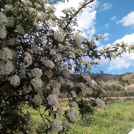 Tenuta Edone' * Graniti